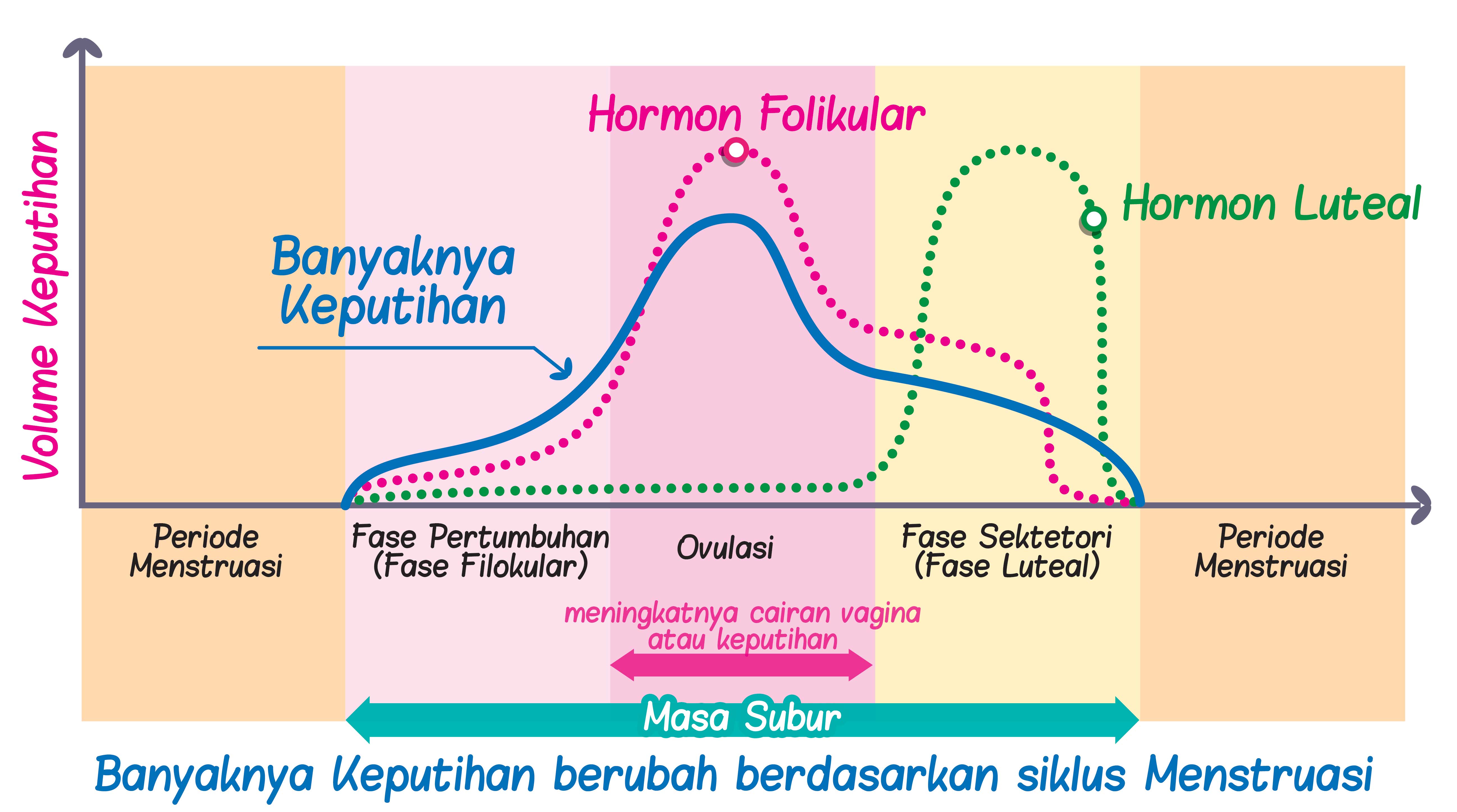 Hormon kewanitaan mempengaruhi siklus haid