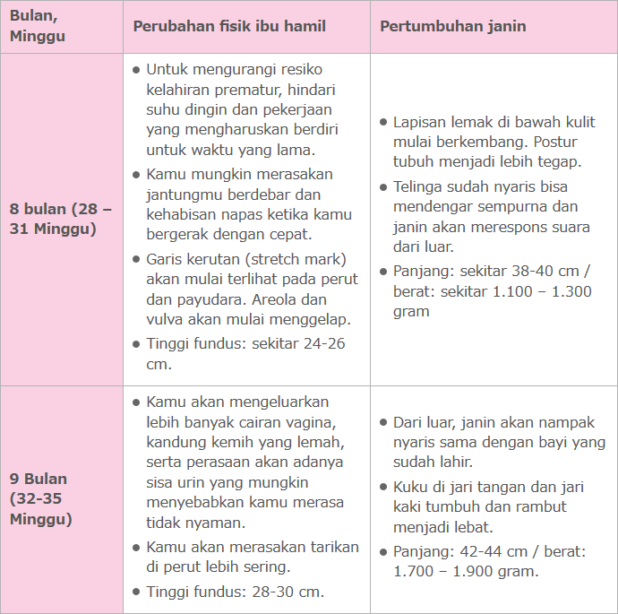 Perubahan fisik perempuan selama kehamilan_5