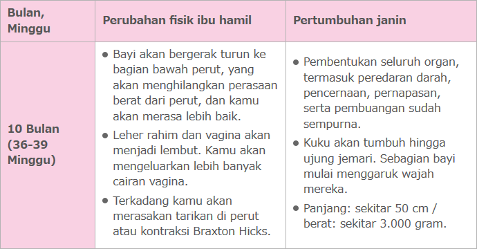 Perubahan fisik perempuan selama kehamilan_7