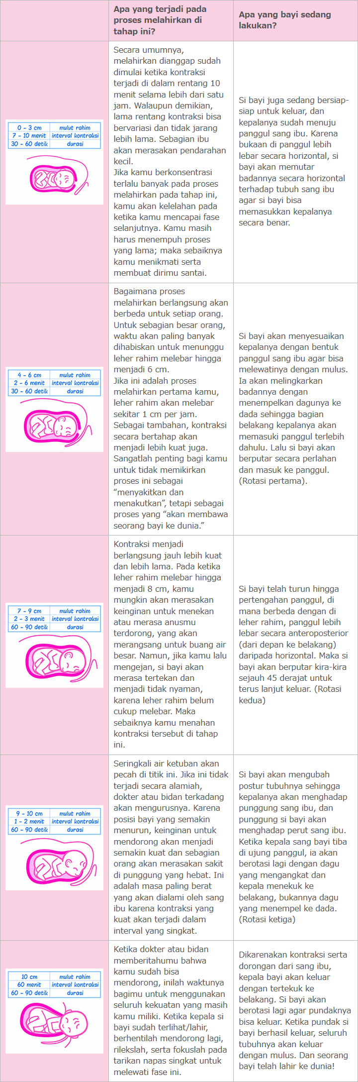 Proses Melahirkan