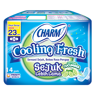 CHARM Cooling Fresh - sejuk Wing 23cm