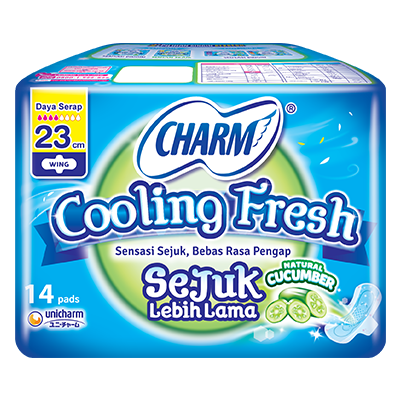 CHARM Cooling Fresh - sejuk Wing 23cm